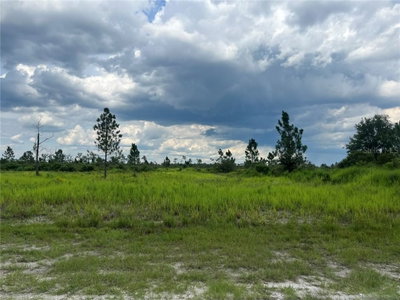 PINNATA Drive, Lake Wales, FL, 33898 — photo 2