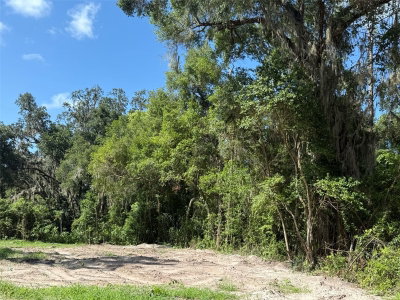 115 RODDY Lane, Palatka, FL, 32177 — photo 2