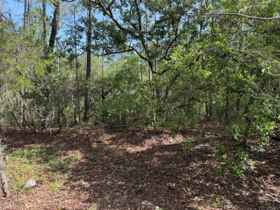 101 WASHINGTON Avenue, Satsuma, FL, 32189 — photo 2