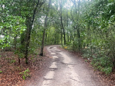 TBD DELAWARE Avenue, Interlachen, FL, 32148 — photo 2