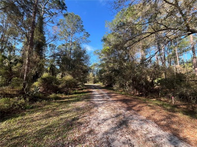 104 5TH Street, Georgetown, FL, 32139 — photo 2