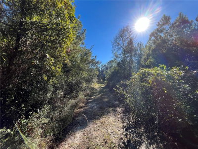 223 MOURNING DOVE Road, Satsuma, FL, 32189 — photo 2