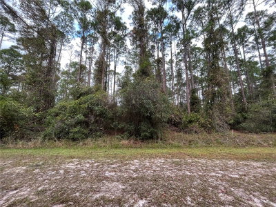 108 5TH Street, Georgetown, FL, 32139 — photo 2