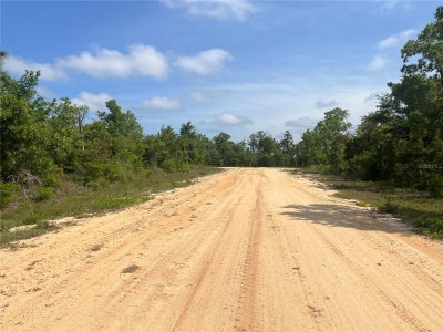 ROME Avenue, Alford, FL, 32420 — photo 2