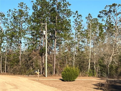 GOREVILLE Avenue, Alford, FL, 32420 — photo 2