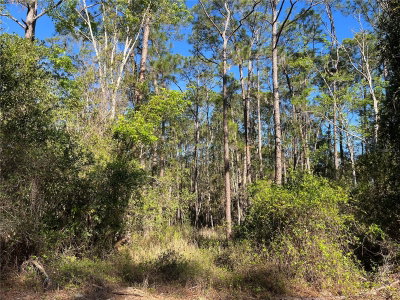 208 3RD Street, Georgetown, FL, 32139 — photo 2