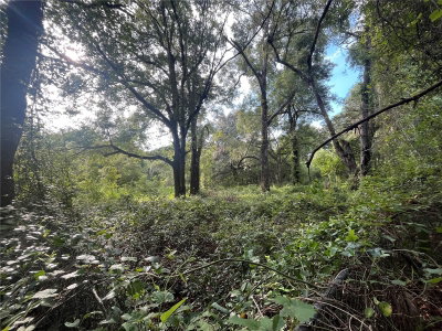 305 MILTON Avenue, Interlachen, FL, 32148 — photo 2