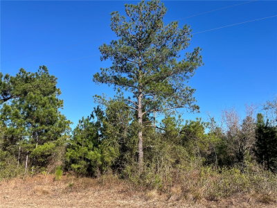 FAIRVIEW Road, Marianna, FL, 32448 — photo 2