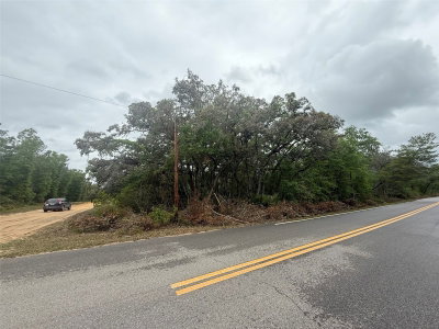 TBD THERESA Avenue, Interlachen, FL, 32148 — photo 2