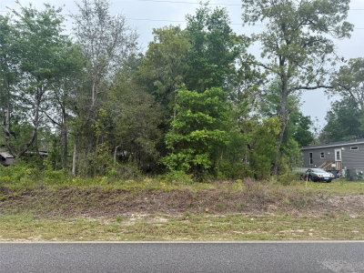 DAWN Avenue, Interlachen, FL, 32148 — photo 2