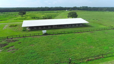 HIGHWAY 326, Morriston, FL, 32668 — photo 2