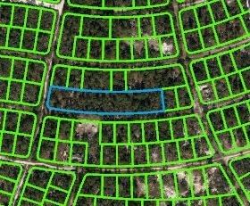 350 STARDUST Avenue, Lake Placid, FL, 33852 — photo 2