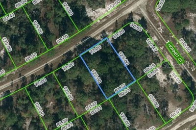 389 SHOWBOAT Avenue, Lake Placid, FL, 33852 — photo 2