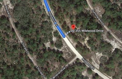 355 WILDWOOD Drive, Lake Placid, FL, 33852 — photo 2