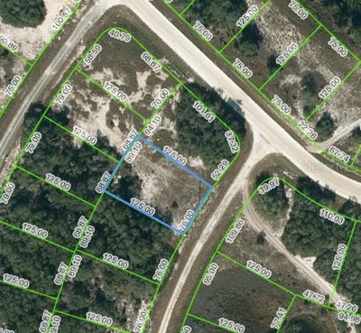 322 DARGEN Drive, Lake Placid, FL, 33852 — photo 2