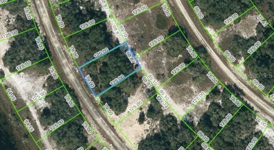 313 RHYTHM Drive, Lake Placid, FL, 33852 — photo 2