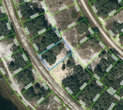 311 RHYTHM Drive, Lake Placid, FL, 33852 — photo 2