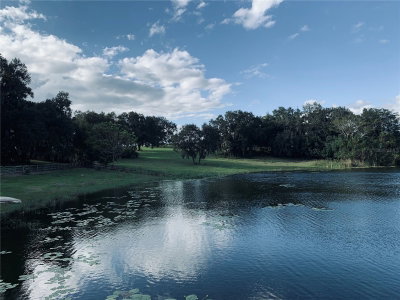 TBD LAKE BURNS Road, UMATILLA, FL, 32784 — photo 2