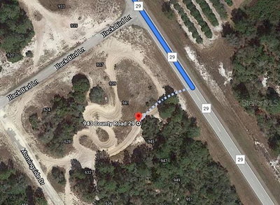 943 COUNTY ROAD 29, Lake Placid, FL, 33852 — photo 2