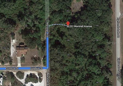 251 MARSHALL Avenue, Lake Placid, FL, 33852 — photo 2