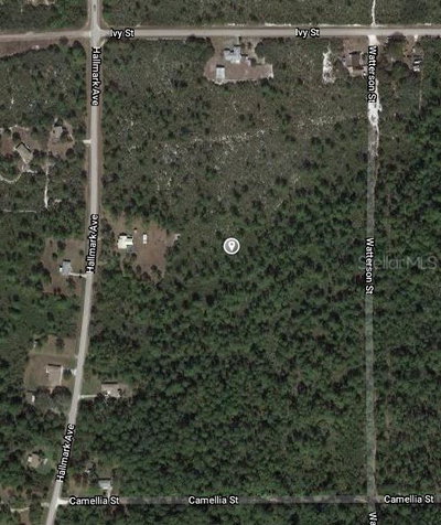 1411 CALADIUM Street, Lake Placid, FL, 33852 — photo 2