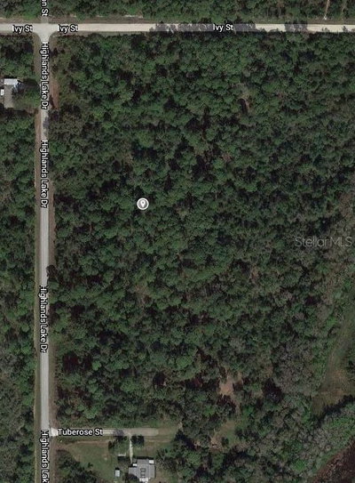930 KIRBY Avenue, Lake Placid, FL, 33852 — photo 2