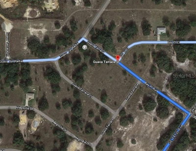 GUAVA Terrace, Ocklawaha, FL, 32179 — photo 2