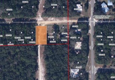 HURAN Street, Interlachen, FL, 32148 — photo 2
