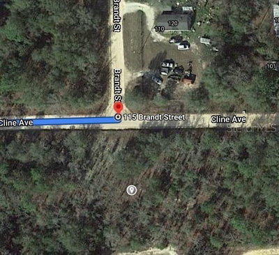 115 BRANCH Avenue, Interlachen, FL, 32148 — photo 2