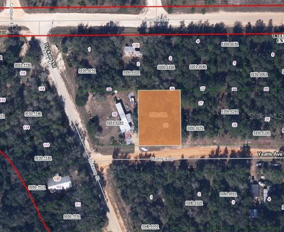 YEATTS Avenue, Interlachen, FL, 32148 — photo 2