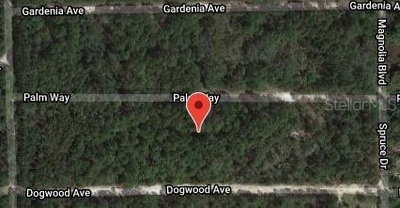 117 PALM Way, Georgetown, FL, 32139 — photo 2