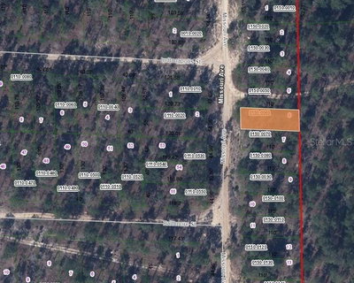 156 MISSOURI Avenue, Hawthorne, FL, 32640 — photo 2