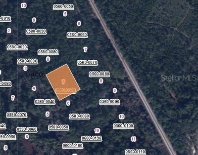426 MADISON Street, Satsuma, FL, 32189 — photo 2