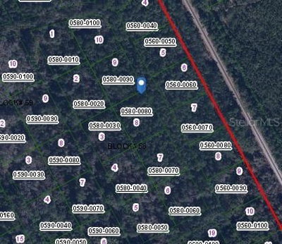422 MADISON Street, Satsuma, FL, 32189 — photo 2