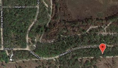 153 SHARON Drive, Satsuma, FL, 32189 — photo 2