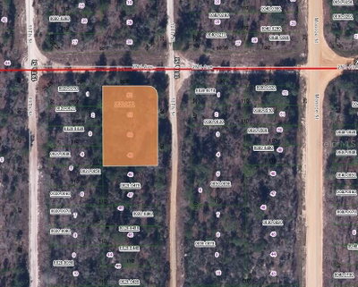 2ND AVE AND 18TH ST Corner, Interlachen, FL, 32148 — photo 2