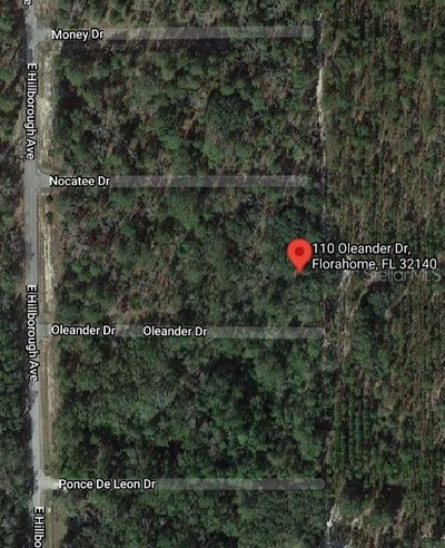 110 OLEANDER Drive, Florahome, FL, 32140 — photo 2