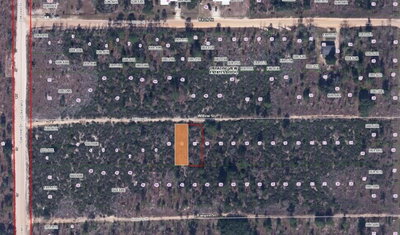 WILLOW ST Street, Interlachen, FL, 32148 — photo 2