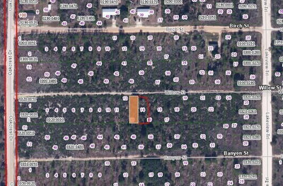 WILLOW ST Street, Interlachen, FL, 32148 — photo 2