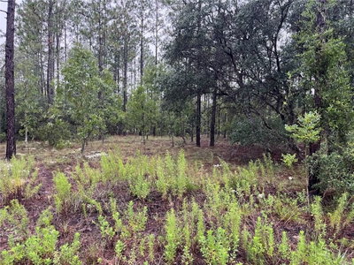 Lot 12 136TH Avenue, Dunnellon, FL, 34431 — photo 2