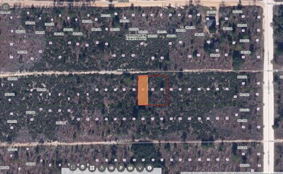 WILLOW ST, Interlachen, FL, 32148 — photo 2
