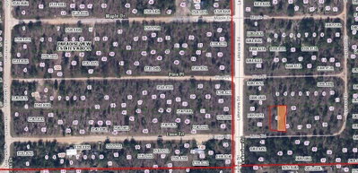 LIME Street, Interlachen, FL, 32148 — photo 2