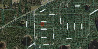 LOT 4 237TH Lane, Fort Mc Coy, FL, 32134 — photo 2
