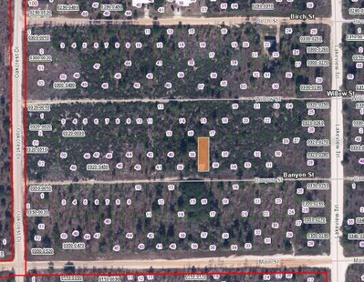 BANVON Street, Interlachen, FL, 32148 — photo 2