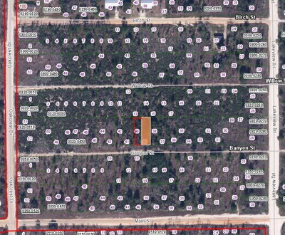 BANVON, Interlachen, FL, 32148 — photo 2