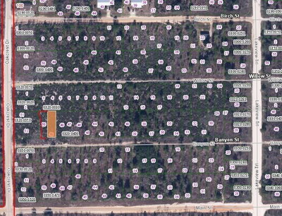 BANVON Street, Interlachen, FL, 32148 — photo 2