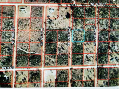00 128TH Avenue, Williston, FL, 32696 — photo 2