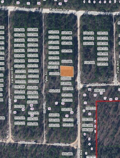 199 MISSOURI Avenue, Hawthorne, FL, 32640 — photo 2