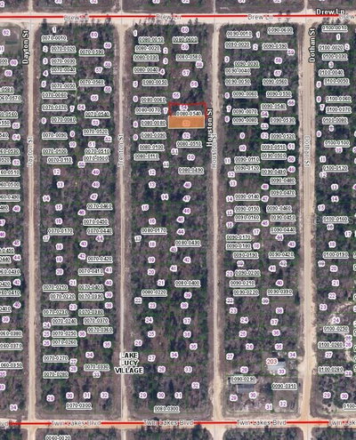 HOUSTON, Interlachen, FL, 32148 — photo 2