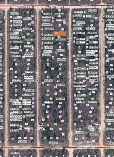 HOUSTON Street, Interlachen, FL, 32148 — photo 2